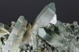 Chlorite Included Quartz Crystal Cluster - Baluchistan, Pakistan #175089-1